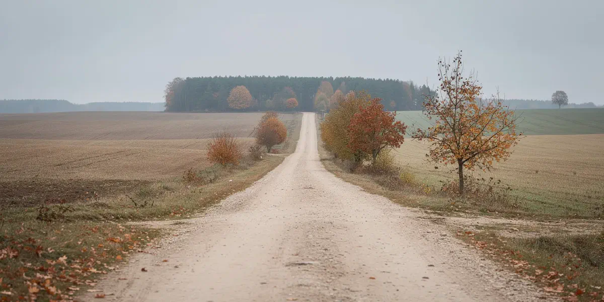 Ilustracja do artykułu
